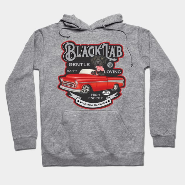 Cute Vintage Classic Funny Black Lab Hoodie by Danny Gordon Art